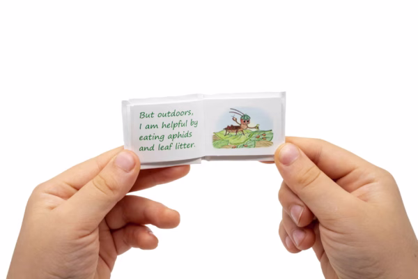 tiny books reading